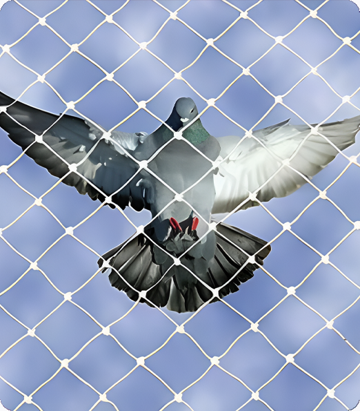 🕊️ High-Quality Pigeon Nets for Open Spaces & Balconies | Bird-Free Homes | AS Enterprises Solution | 📞 Call Now: 8051800912 | Vapi, Silvassa, Mumbai