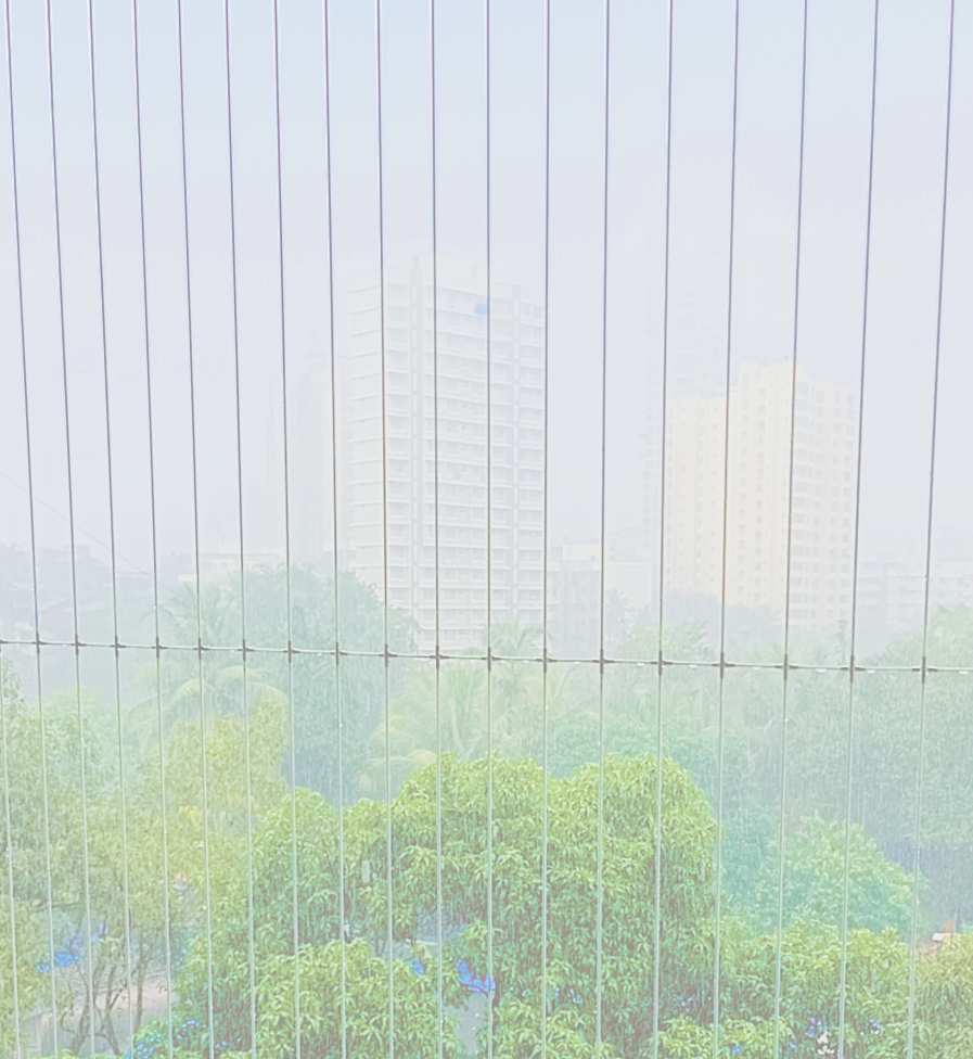 Custom Industrial Bird Nets for Large Spaces | AS Enterprises
							Solution | 8051800912 | Vapi, Silvassa, Mumbai
							