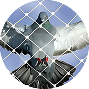 Tear-Resistant UV Protection Shields | Long-Lasting & Durable | AS
								Enterprises Solution | 8051800912 | Vapi, Mumbai